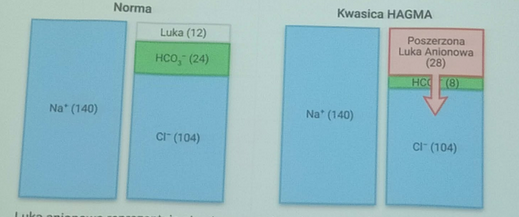 <p>LA=niezmierzone aniony</p>