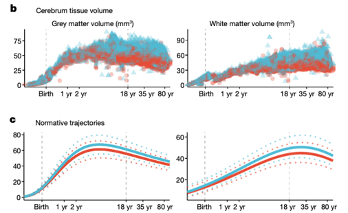 <p>Qu’est-ce que cette image montre ? </p>