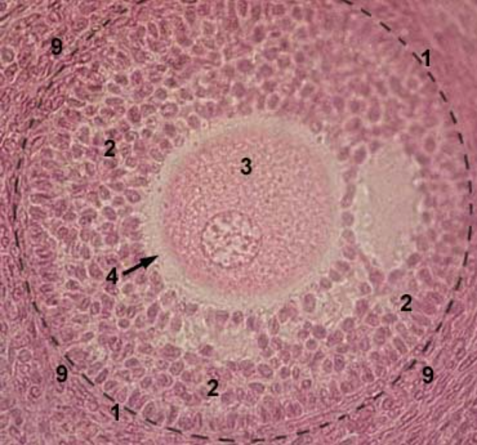 <p>what is 1?</p>