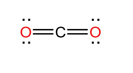 <p>normally four single bonds but in the case of CO<sub>2</sub>, it is different</p>