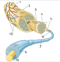 <p>8</p>