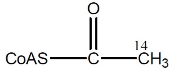 <p><span>Acetyl-CoA labeled with </span><sup>14</sup><span>C as shown below is allowed to enter the citric acid cycle. Assuming that all of the acetyl-CoA enters the cycle, what fraction of the label will be present in oxaloacetate at the end of one turn of the cycle?</span></p><p></p><p>a) 25%</p><p>&nbsp;</p><p>b) 75%</p><p>&nbsp;</p><p>c) 50%</p><p>&nbsp;</p><p>d) 0%</p><p>&nbsp;</p><p>e) 100%</p>