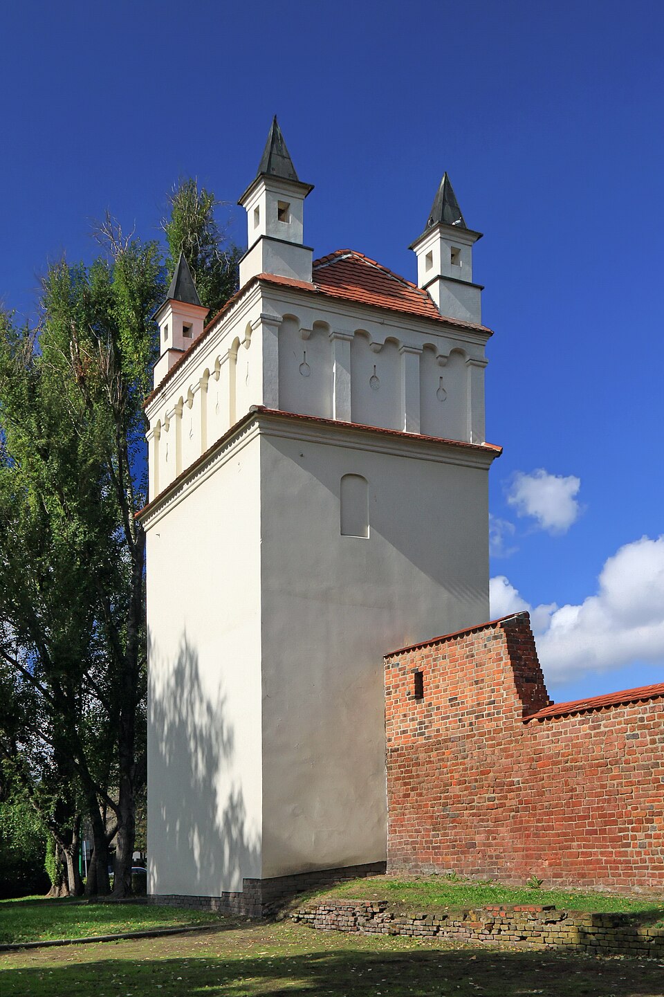 term image