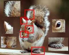 <p>Aspect /ˈæspɛkt/ (Noun) A particular part or feature of something</p>