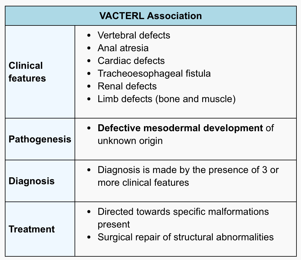 <p>-mesodermal defects</p>