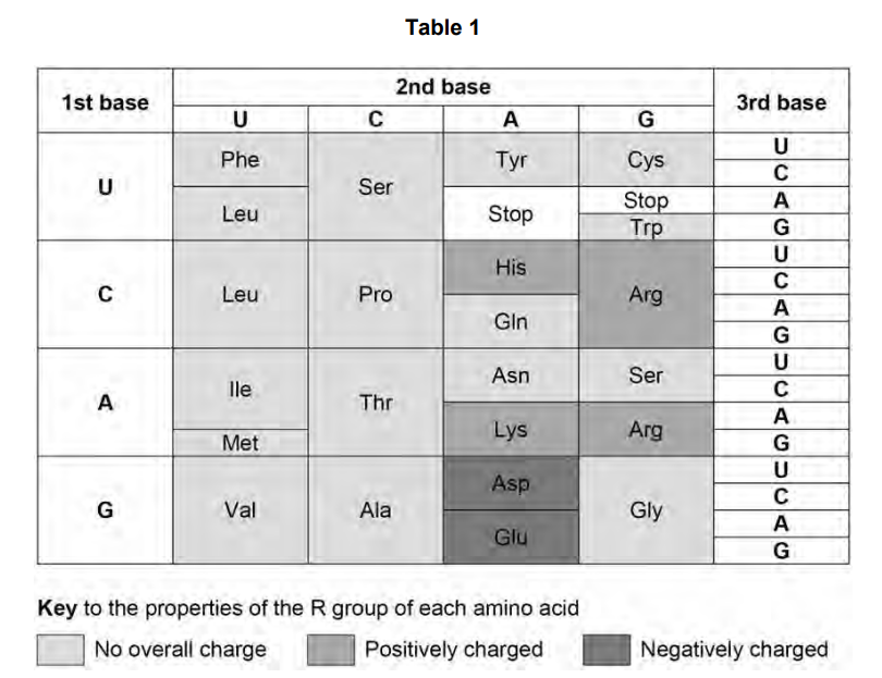 <p>Use information from Table 1 to tick ( ) one box that shows a base substitution mutation in <strong>DNA</strong> that would result in a change from Val to Ala at amino acid number 203. (1 mark)</p><ul data-type="taskList"><li data-checked="false" data-type="taskItem"><label><input type="checkbox"><span></span></label><div><p>CAA → CGA</p></div></li><li data-checked="false" data-type="taskItem"><label><input type="checkbox"><span></span></label><div><p>GUU → GCA </p></div></li><li data-checked="false" data-type="taskItem"><label><input type="checkbox"><span></span></label><div><p>GUU → GUC </p></div></li><li data-checked="false" data-type="taskItem"><label><input type="checkbox"><span></span></label><div><p>CAC → CGG</p></div></li></ul><p></p>