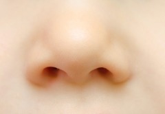 <p>ніс</p><p>코를 풀었어요. = I blew my nose.</p><p>코가 막혔어요. = My nose is stuffed up.</p>