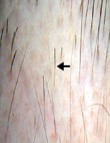 <p></p>