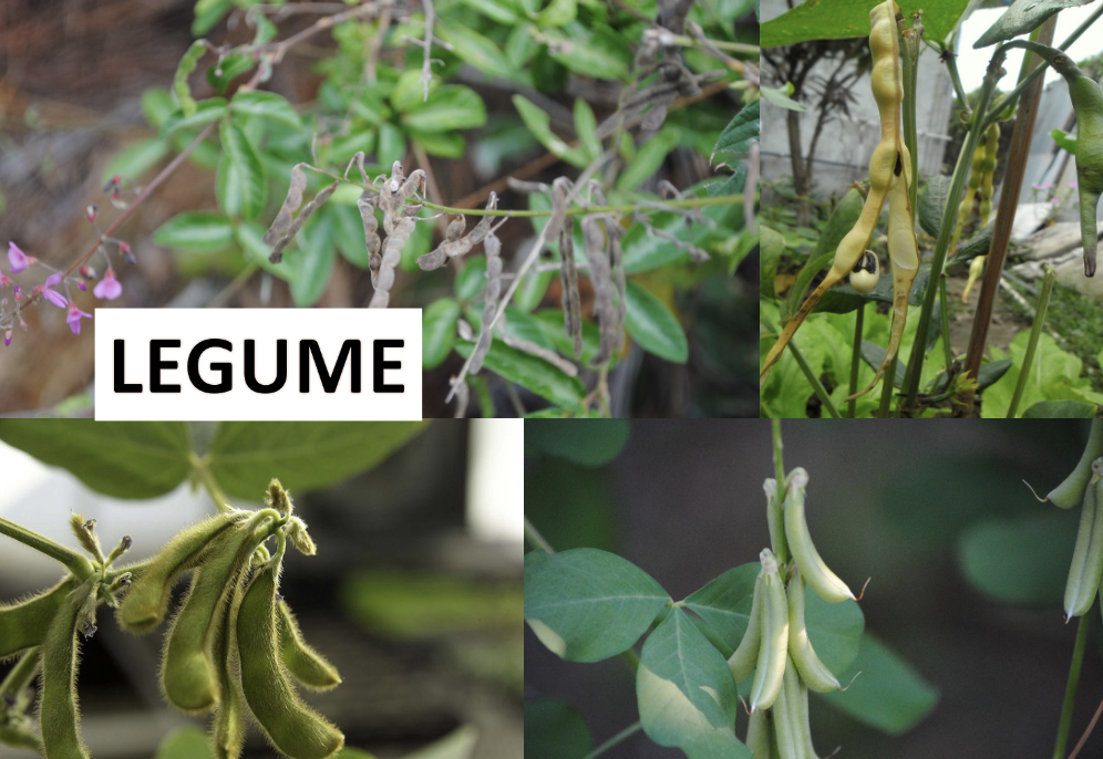 <p>What is this?</p>