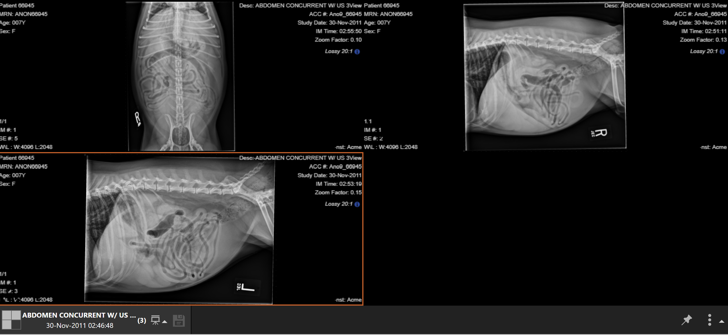 <p>8 YO FN beagle with a history of intermittent vomiting and diarrhea: differentials for equivocal generalized splenomegaly are V C secondary to S, E H, L H</p>