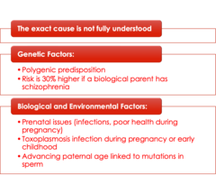 <p>-not fully understood</p><p>-genetic, biological & environmental factors</p>