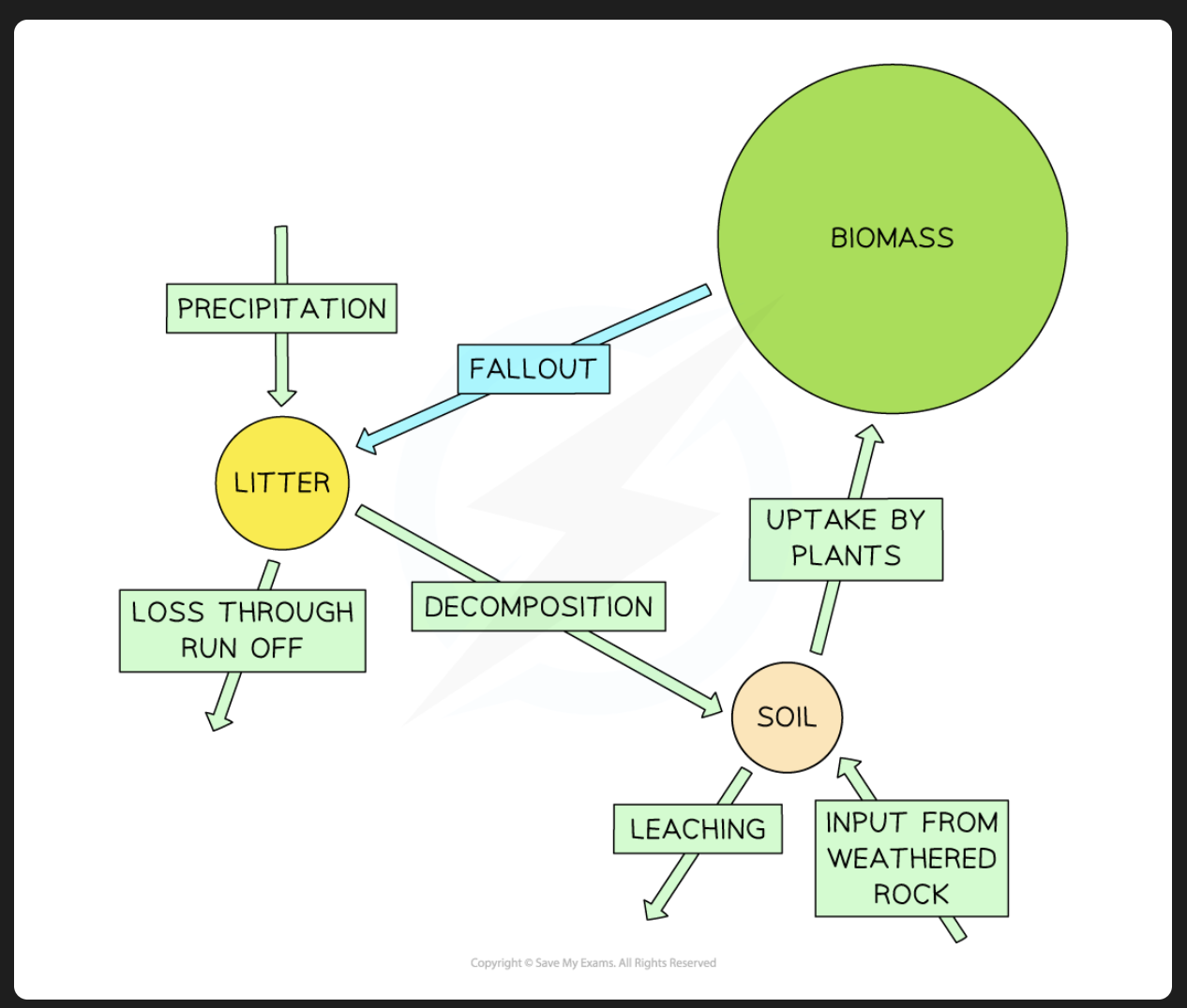 <ul><li><p>Most of the nutrients are stored in the biomass → life e.g. trees</p></li><li><p>Few nutrients are stored in the soil and the litter (dead organic matter - plants leaves dead animals on the floor)</p></li></ul><p>this means that the soil is not very fertile as all the litter is rapidly decomposed and uptaken</p>