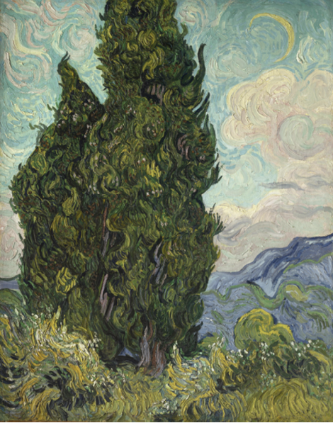 term image