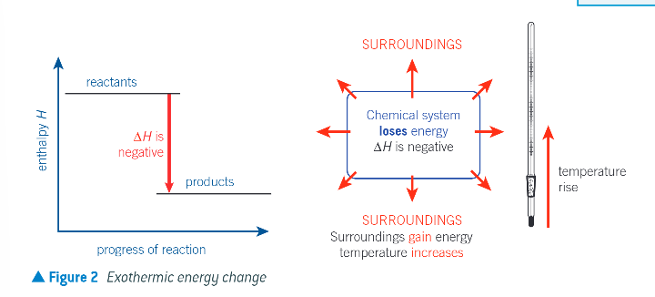 <ul><li><p>the chemical system releases heat energy to the surroundings</p></li><li><p>any energy loss by the chemical system is balanced by the same energy gain by the surroundings</p></li><li><p>enthalpy change is negative</p></li><li><p>the temp of the surroundings increases as they gain energy</p></li></ul><p></p>