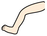<p>нога</p><p>오래 서 있어서 다리가 아파요. = My legs hurt because I stood for a long time.</p><p>다리가 아파요. = My leg hurts.</p>