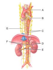 <p>What is C?</p>