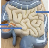<p>name the parts</p>