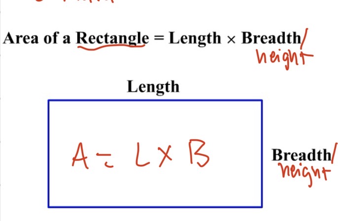 <p>a</p>