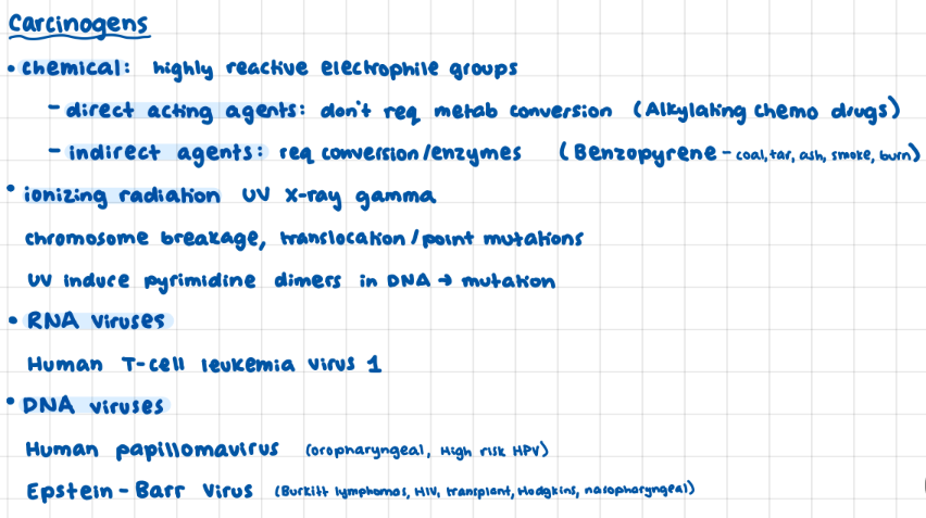 <p>chemical: direct vs indirect</p><p>ionizing radiation</p><p>RNA: human T-cell lymphoma</p><p>DNA: human papillo + epstein barr</p>