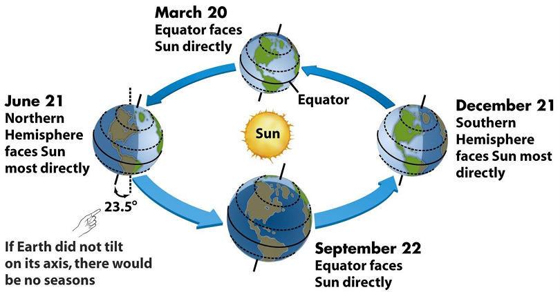 <ul><li><p>tilt of earth’s axis of rotation → seasons </p><ul><li><p>N &amp; S hemisphere experience seasons @ diff times </p></li></ul></li><li><p>migratory birds track “summer” temps </p><ul><li><p>spend winter in S. hemisphere </p></li></ul></li></ul><p></p>