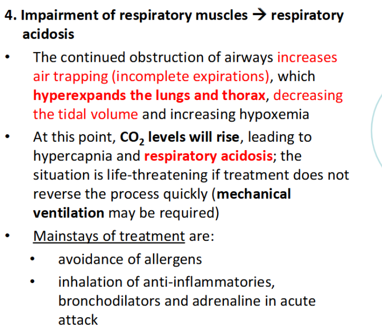 <p><span>– Begins 4-8 hours after the early response; can be<br>more severe than initial attack<br>1. Release of inflammatory chemicals<br>– Chemokines released by cells in early response call<br>other inflammatory cells: neutrophils, eosinophils<br>and lymphocytes, to the area<br>– Inflammatory chemicals released by these cells<br>cause further bronchospasm, edema and mucous<br>secretion<br>2. Cell damage and mucous accumulation<br>– Damage from these chemicals occurs to ciliated<br>epithelial cells. Mucous accumulates and cellular<br>debris forms plugs in the airways impeding alveolar<br>ventilation. (See diagram)<br>– Untreated inflammation can lead to long-term<br>airway damage that is irreversible</span></p><p><span> 3. Air trapping → hypoxemia → respiratory<br>alkalosis<br>– The obstructed airway makes it more difficult<br>to expire, causing air to be trapped in alveoli,<br>increasing alveolar gas pressures. This causes<br>decreased perfusion of blood over the alveoli<br>(capillaries collapse), leading to hypoxemia<br>– The hypoxemia stimulates the respiratory<br>centre → hyperventilation<br>– CO2 diffuses out of blood causing hypocapnia<br>and respiratory alkalosis</span></p><p><span>. Impairment of respiratory muscles → respiratory<br>acidosis<br>• The continued obstruction of airways increases<br>air trapping (incomplete expirations), which<br>hyperexpands the lungs and thorax, decreasing<br>the tidal volume and increasing hypoxemia<br>• At this point, CO2 levels will rise, leading to<br>hypercapnia and respiratory acidosis; the<br>situation is life-threatening if treatment does not<br>reverse the process quickly (mechanical<br>ventilation may be required)<br>• Mainstays of treatment are:<br>• avoidance of allergens<br>• inhalation of anti-inflammatories,<br>bronchodilators and adrenaline in acute<br>attack</span><br></p><p></p><p></p>