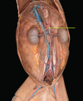 <p><span style="line-height: 17.375px;">Identify.</span></p>