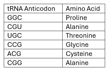 <p>61) An mRNA molecule with the sequence 5′-CCG-ACG-3′is being translated at a ribosome. The following charged transfer RNA molecules (with their anticodons shown in the 3′ to 5′ direction) are available. Two of them can correctly match the mRNA so that a dipeptide can form.</p><p>Which of the following dipeptides will form from this mRNA?</p><p>A) cysteine-alanine </p><p>B) alanine-alanine</p><p>C) glycine-cysteine </p><p>D) proline-threonine</p>