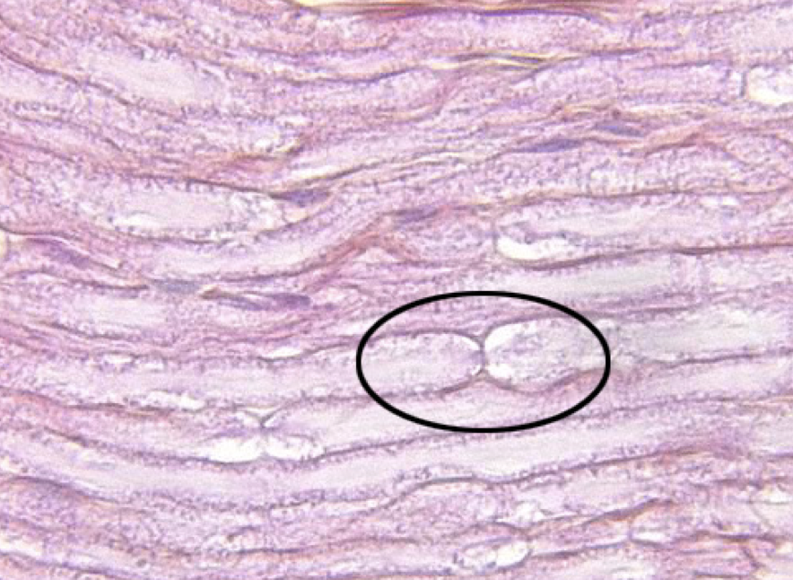 <p>What is this?</p>