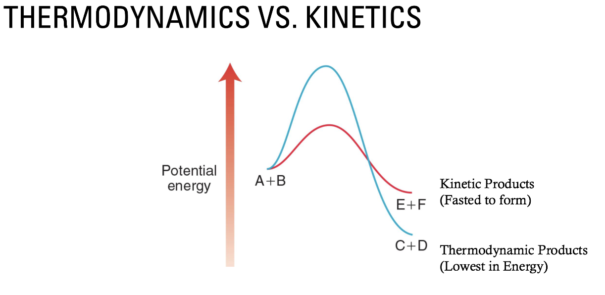 <ul><li><p>In the diagram below, the blue line creates the thermodynamic products (lowest in energy), and the red line is the formation of the kinetic products (lower activation energy). </p></li><li><p>This can be controlled with Temperature. </p><ul><li><p>Higher T will push the reaction to the thermodynamic products because it will help molecules get over the activation energy.</p></li></ul></li></ul><ul><li><p>Reactions that are not favored can still occur if energy is applied to them.</p></li></ul><p></p>