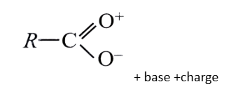 <p>‘main base’ ‘prefix’ + noate</p>