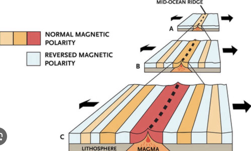 <p>The mirror-image pattern of magnetic stripes on either side of a mid-ocean ridge, proving seafloor spreading.</p>