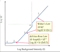 <p>Square Root Law Region: How do we calculate the increment threshold in this region?</p>