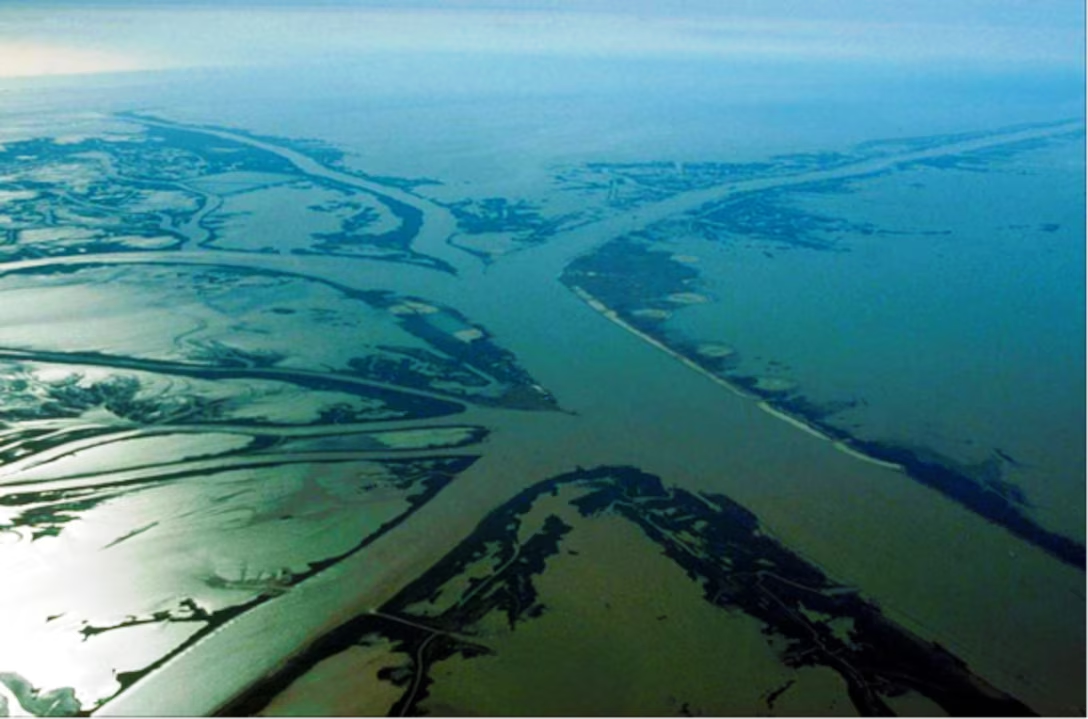 <p><strong>aka digitate</strong></p><ul><li><p>many tributaries split up from the main river</p><ul><li><p>each tributary deposits sediment along its banks, which forms a lot of new land in btwn the streams</p><ul><li><p>resulting delta stretches in various directions and resembles a chicken claw</p></li></ul></li></ul></li><li><p>eg. Mississippi River</p></li></ul><p></p>