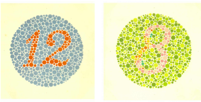 <ul><li><p>the numbers and colours thing</p></li></ul><p></p>