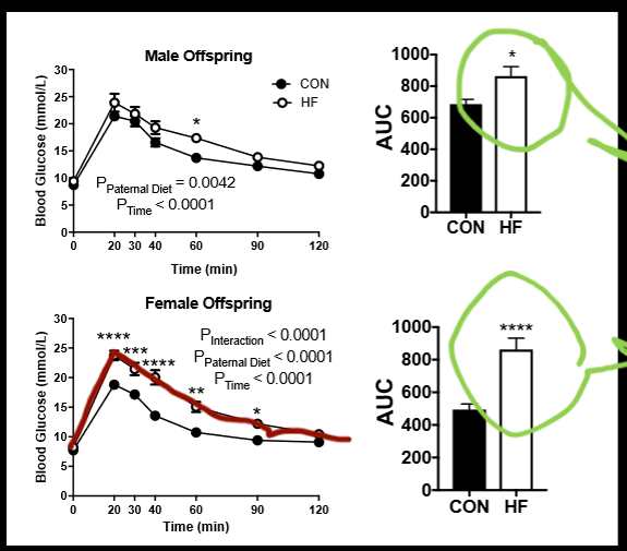 <p>paternal diet induced obesity induces metabolic dysfunction. male offspring of these obese males display impaired clearance, female offspring of these obese males more vulnerable than males</p>