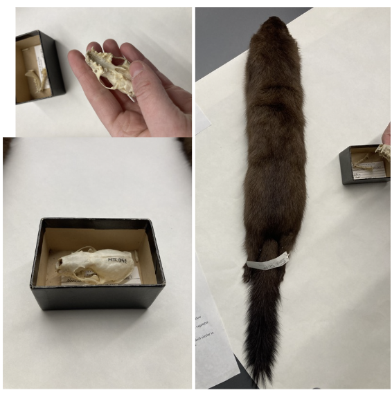 <p>What is this?</p>