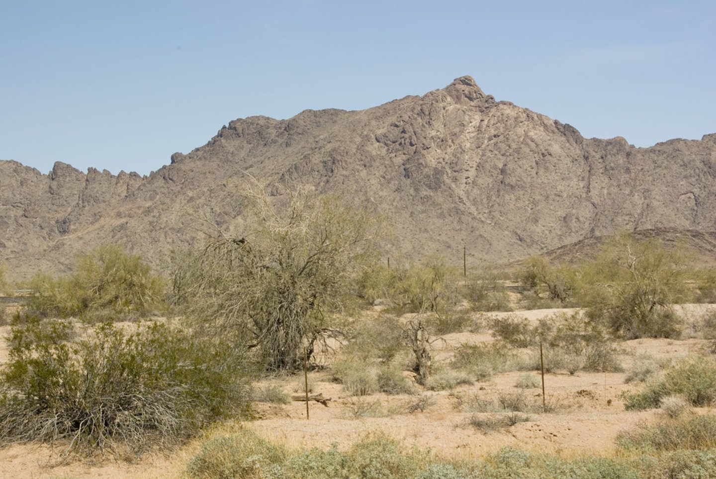 <p>it's dry</p>