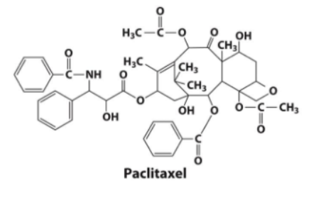 <p><span>Paclitaxel (taxol)</span></p>
