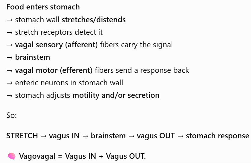 <p>Answer: A gastrointestinal reflex in which both the sensory afferent and motor efferent limbs travel through the vagus nerve.</p><p>Extra Information:</p><ul><li><p>Vagovagal reflexes help coordinate gastric responses to swallowing and distension.</p></li></ul><p></p>