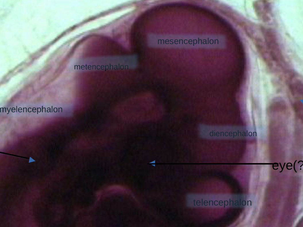 <p>4</p>