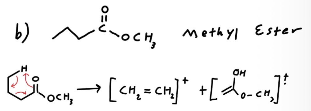 <p>McLafferty cleavage fragments</p>