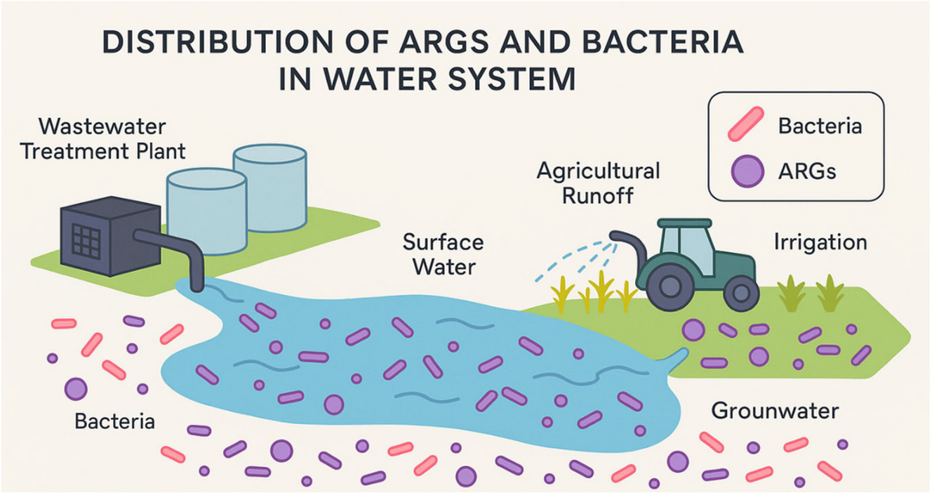 <ul><li><p>Agricultural runoff</p></li><li><p>Irrigation</p></li><li><p>Wastewater treatment plant</p></li></ul><p></p>