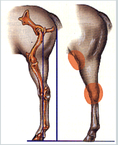 <p>what is this an image of</p>