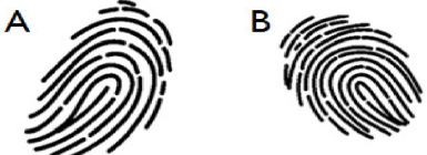 <p>What kind is this?</p>
