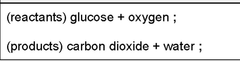 <p> glucose + oxygen → carbon dioxide + water + energy </p>