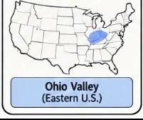 <p>Ohio Valley — Eastern Woodlands people</p>