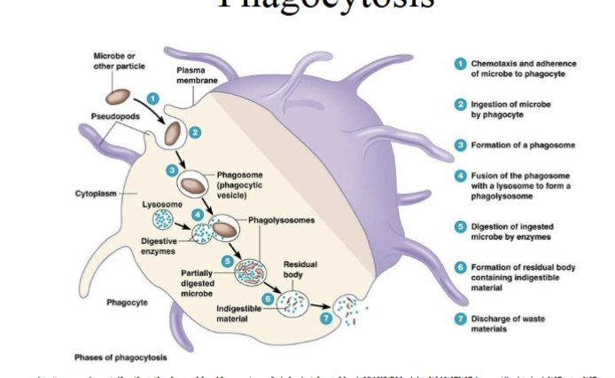 <p>do you like what u see ;3</p>