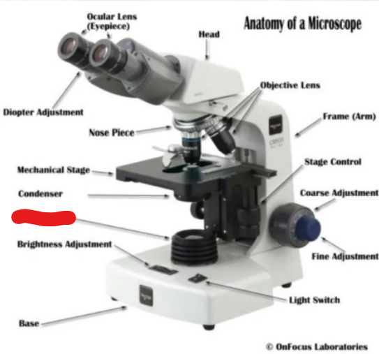 <p>what is it</p>