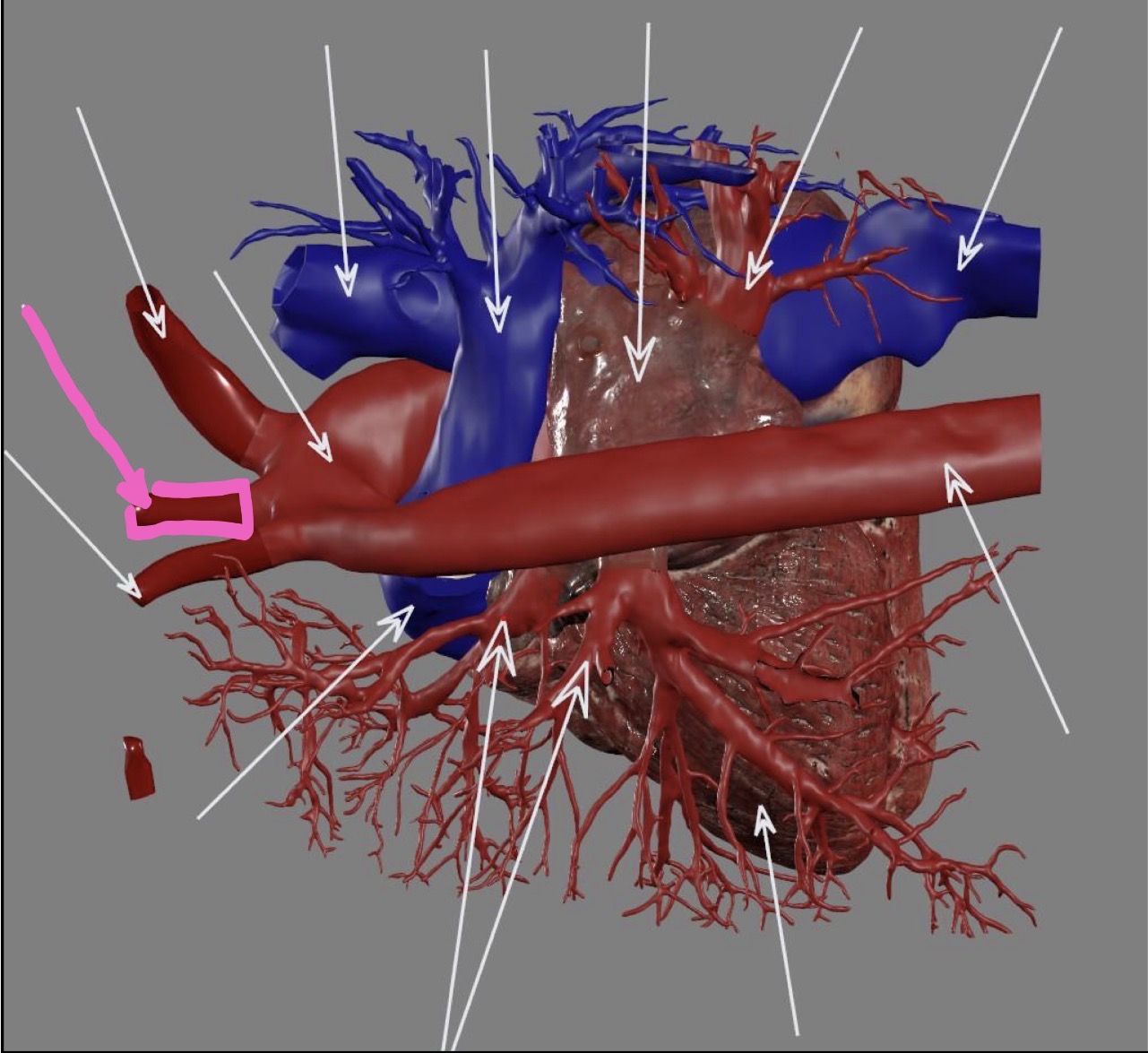 <p>What’s the highlighted area?</p>