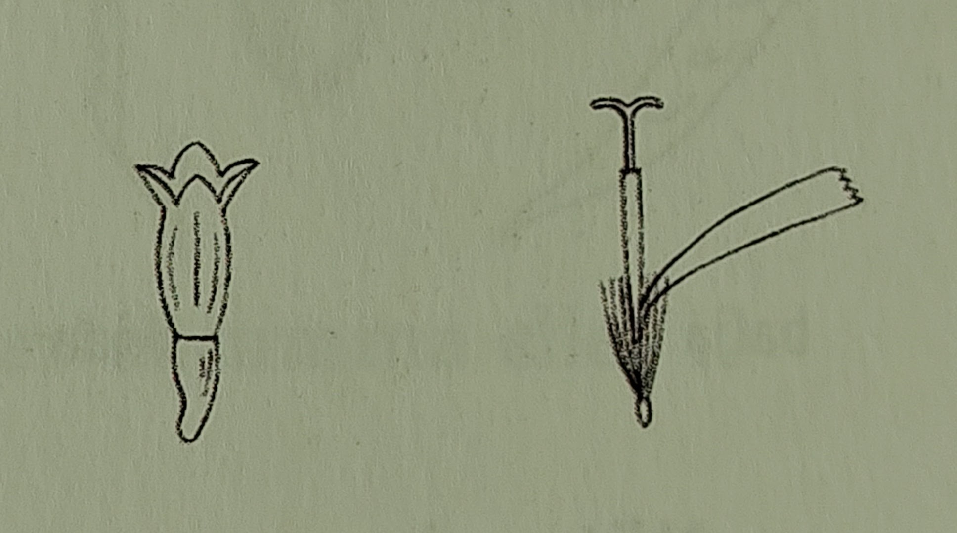 <p></p>